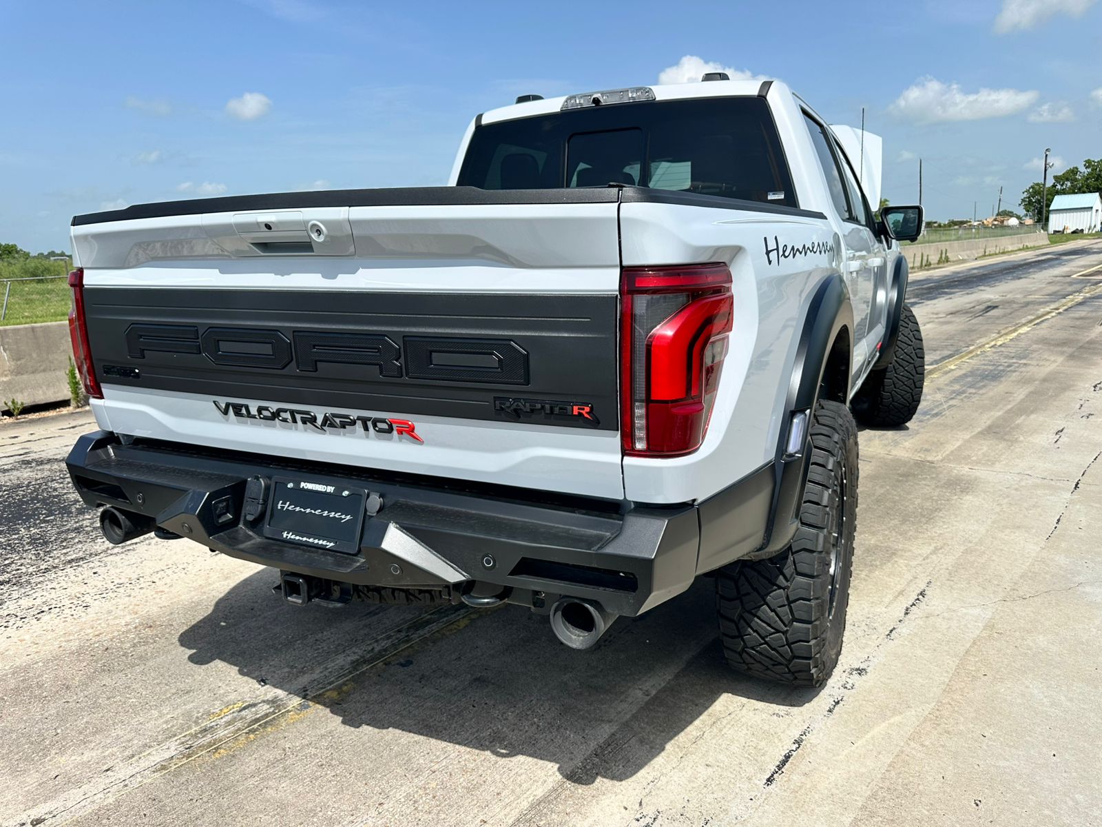 Velociraptor - View 1